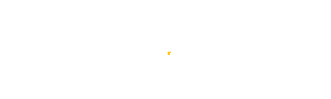 LOGO KOI855